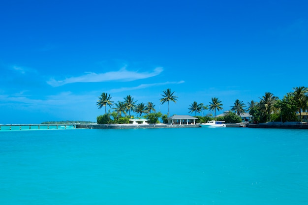 Malediven Insel mit weißem Sandstrand und Meer