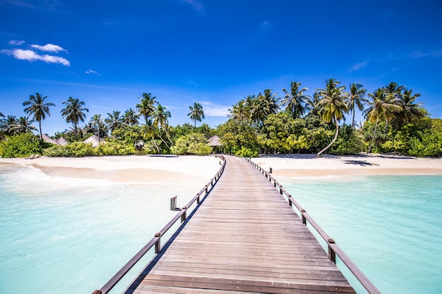 Malediven Landschaft tropische Natur Strand grüne Kokospalme verlässt blaues Meer Himmel Holzsteg Brücke