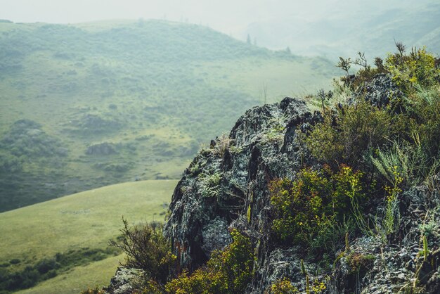 Malerische Alpenlandschaft mit kleinen gelben Blumen und grünen Gräsern auf Felsen auf dem Hintergrund grüner Hügel. Schöne lebendige Berglandschaft mit gelben kleinen Blumen und wilden Vegetationen auf Felsklippen