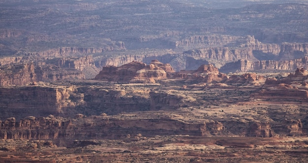 Malerische amerikanische Landschaft und rote Felsenberge in der Wüstenschlucht