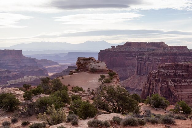 Malerische amerikanische Landschaft und rote Felsenberge in der Wüstenschlucht