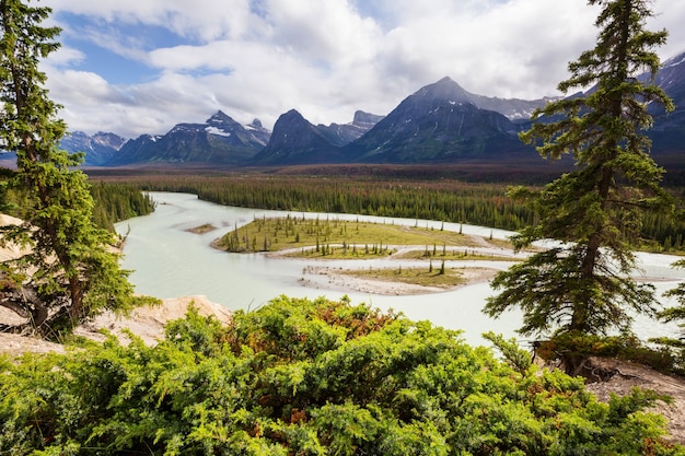 Malerische Aussicht auf den Athabasca River, Jasper Nationalpark, Alberta, Kanada