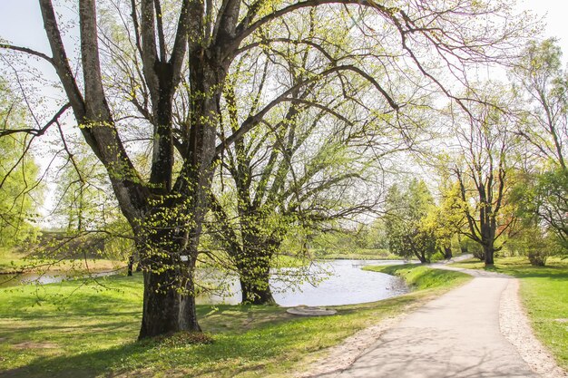 Malerische Aussicht Frühlingslandschaft