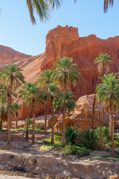 Malerische Aussicht von M'Chouneche, Biskra