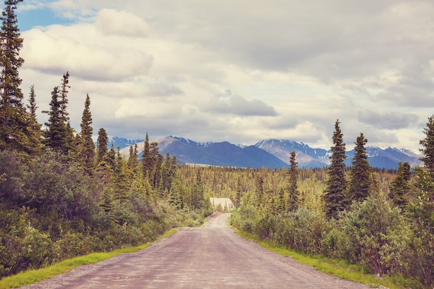 Malerische Autobahn in Alaska, USA