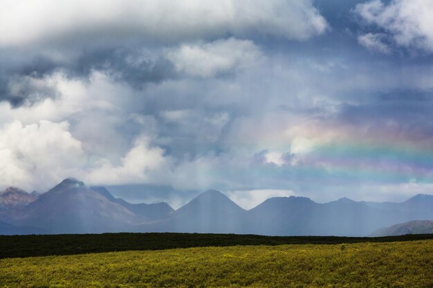 Malerische Berge Alaskas im Sommer. Schneebedeckte Massive, Gletscher und felsige Gipfel.