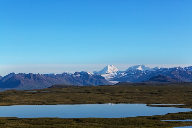 Malerische Berge Alaskas im Sommer. Schneebedeckte Massive, Gletscher und felsige Gipfel.