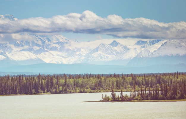 Malerische Berge von Alaska im Sommer. Schneebedeckte Massive, Gletscher und felsige Gipfel.