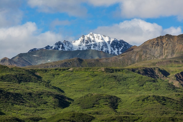 Malerische Berge von Alaska im Sommer. Schneebedeckte Massive, Gletscher und felsige Gipfel.