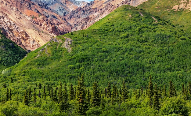 Malerische Berge von Alaska im Sommer. Schneebedeckte Massive, Gletscher und felsige Gipfel.