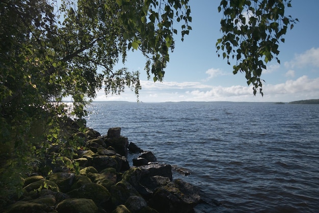 Malerische Felsenküste des Sees Äste von Bäumen hängen über dem Wasser Die Steine sind mit Moos bedeckt