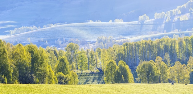 Malerische Frühlingsansicht, grüne Wälder und Wiesen im Morgenlicht