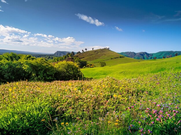 malerische grüne Landschaft im Hintergrund