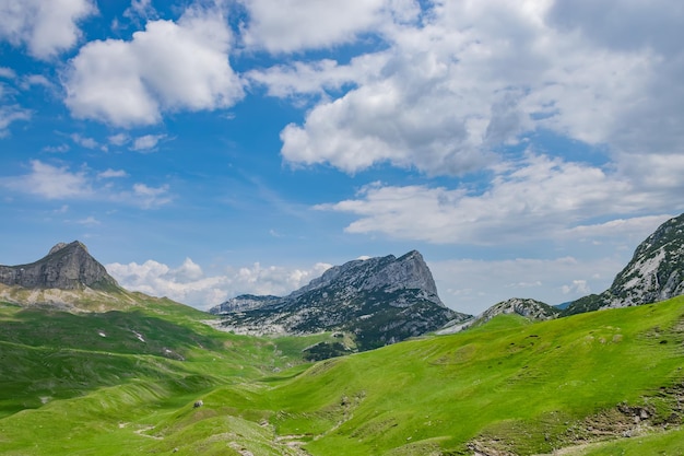 Malerische hohe Berge im Norden Montenegros im Nationalpark Durmitor