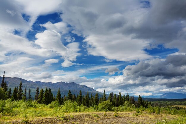 Malerische kanadische Berge im Sommer