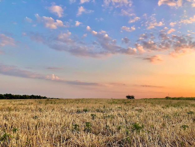 Malerische ländliche Landschaft blau bewölkter lila orangefarbener Sonnenuntergangshimmel im Feld hochwertiges Foto