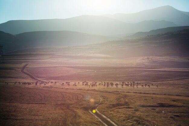 Malerische ländliche Landschaften in der Türkei. Herbstsaison.