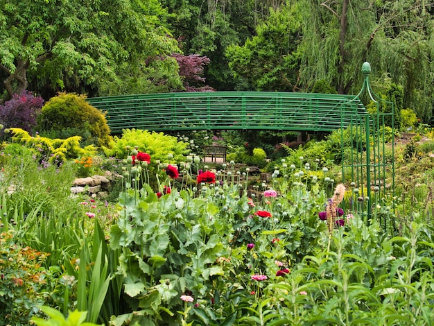 Malerische Landschaft im Claude-Monet-Garten in Giverny, Frankreich mit einer Olympus-Digitalkamera