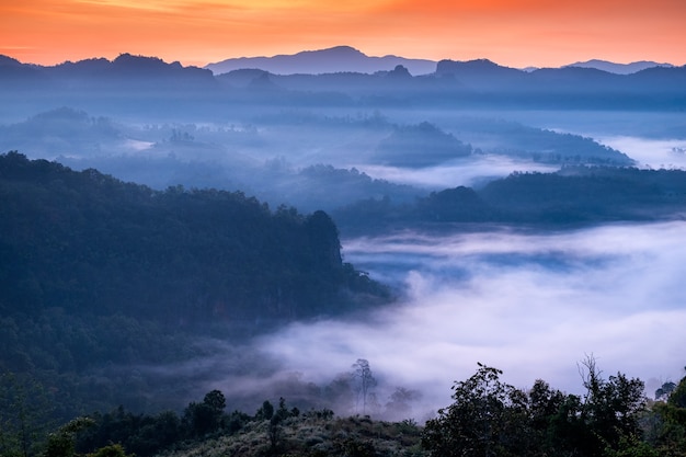 Malerische Landschaft im nebligen Tal im Morgengrauen, Baan Jabo, Mae Hong Son, Thailand?