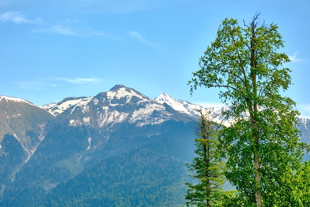 Malerische Landschaft in den Bergen