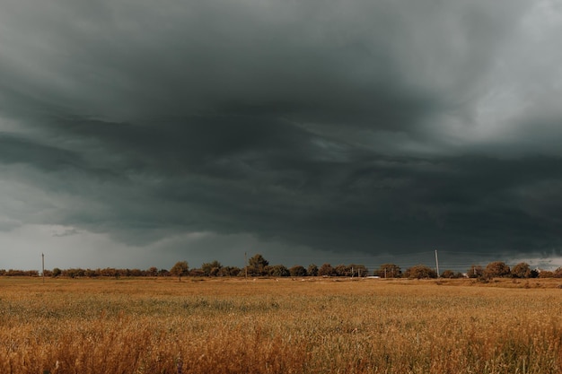 Malerische Landschaft mit Bäumen in den Hügeln gegen Wolken