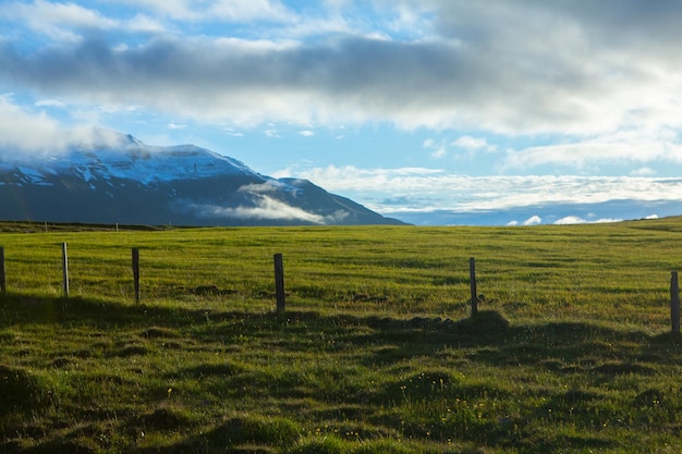 Malerische Landschaft mit grüner Natur in Island im Sommer.