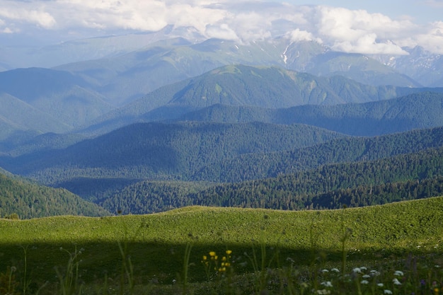 malerische Landschaft mit Wiesen, Wäldern und Bergspitzen