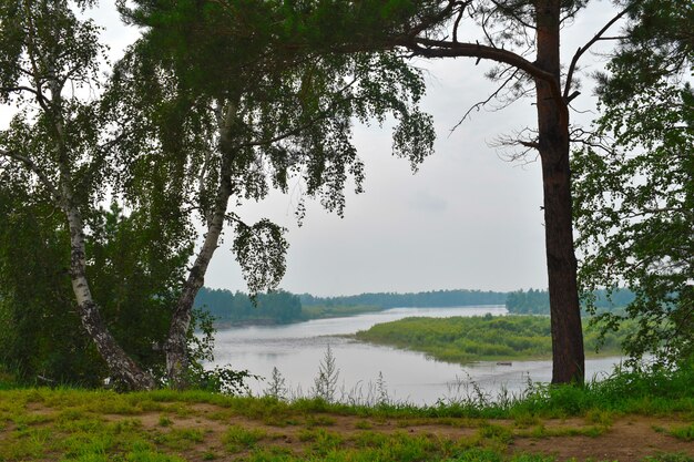 Malerische Seebirken mit Klippen