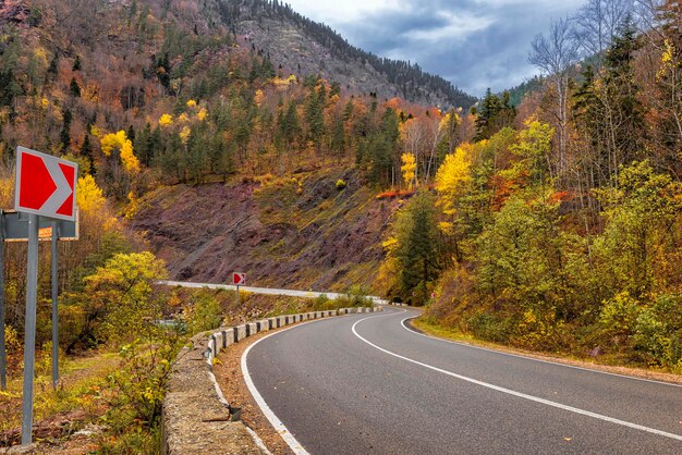 Malerische Straße zwischen Bergen, die im Herbst mit Wald bedeckt sind