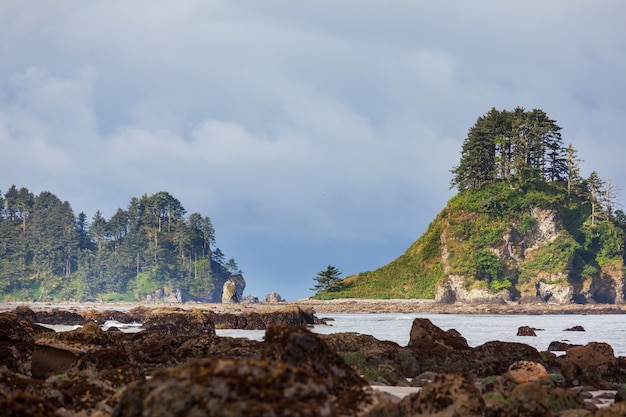 Malerische und strenge Pazifikküste im Olympic National Park