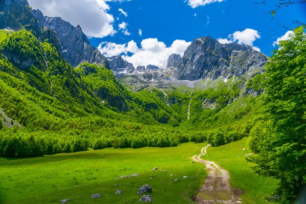 Malerische Wiesen und Wälder liegen inmitten der hohen Berge.