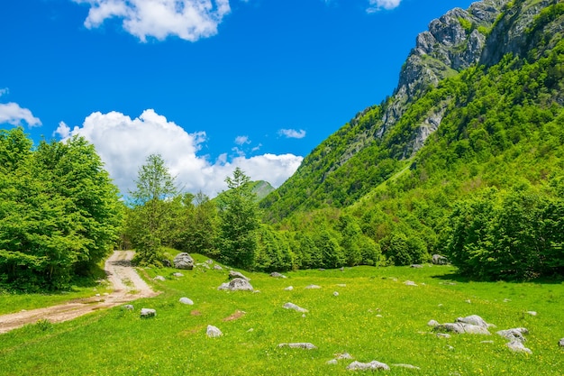 Malerische Wiesen und Wälder liegen inmitten der hohen Berge