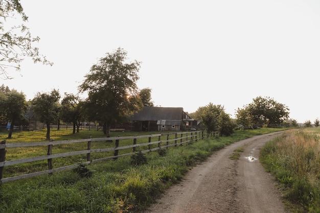 Malerische Wiesenwiese und Sommerlandschaft bei Sonnenuntergang