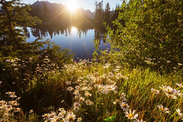 Malerischer Bildsee mit Mount Shuksan-Reflexion in Washington, USA