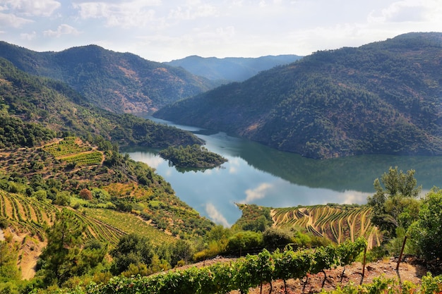 Malerischer Blick auf Alto Douro Vinhateiro Portugal