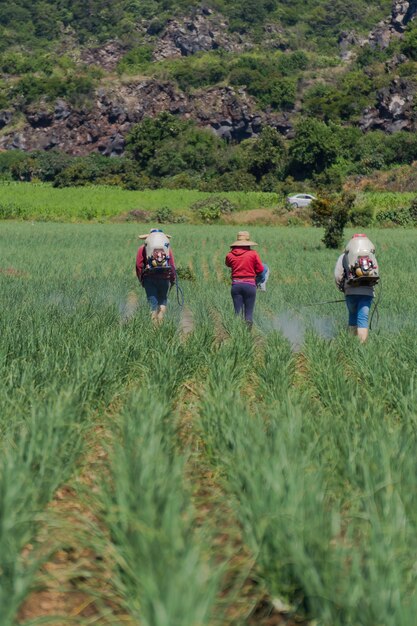 Malerischer Blick auf Arbeiter, die das Feld bewässern