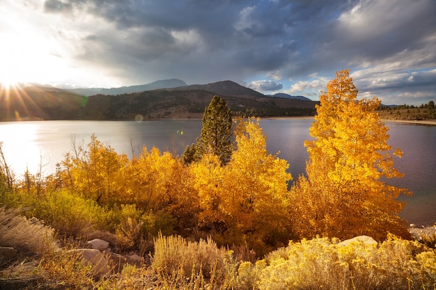 Malerischer Blick auf den Berg Sierra Nevada. Herbstlaub Landschaft. Kalifornien, USA.