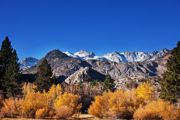 Malerischer Blick auf den Berg Sierra Nevada. Herbstlaub Landschaft. Kalifornien, USA.