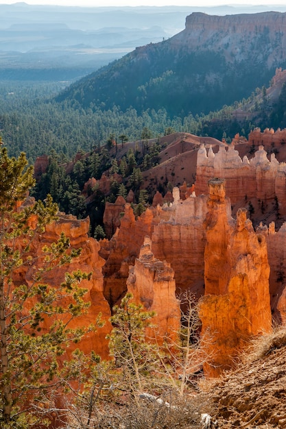 Foto malerischer blick auf den bryce canyon süd-utah usa