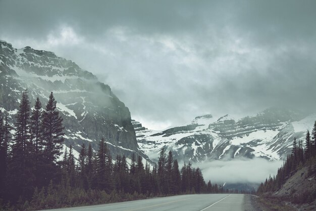 Malerischer Blick auf die Berge in den kanadischen Rocky Mountains in der Sommersaison