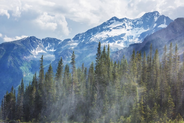 Malerischer Blick auf die Berge in den kanadischen Rocky Mountains in der Sommersaison