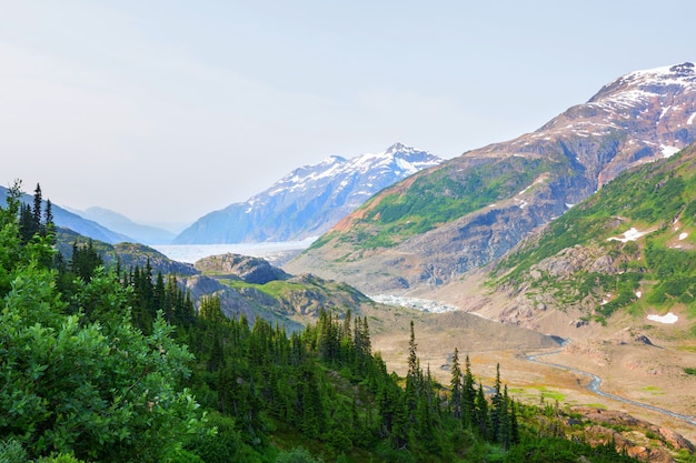 Malerischer Blick auf die Berge in den kanadischen Rocky Mountains in der Sommersaison