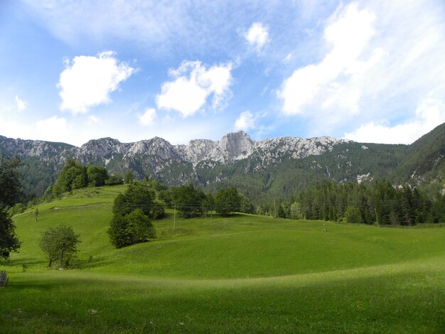 Foto malerischer blick auf die grüne landschaft und die berge vor dem himmel