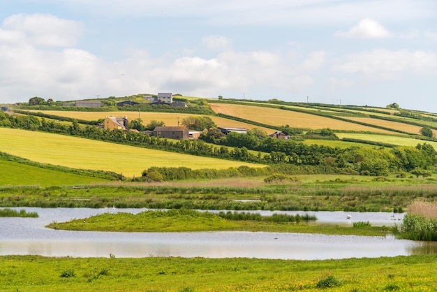 Malerischer Blick auf die Landschaft im South Huish Wetlands Reserve in Devon