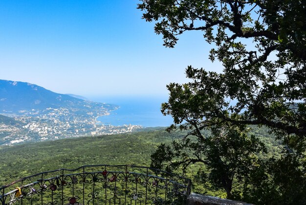 Malerischer Blick auf die Stadt Jalta und das Schwarze Meer vom Berg Ai Petri auf der Krim Russland