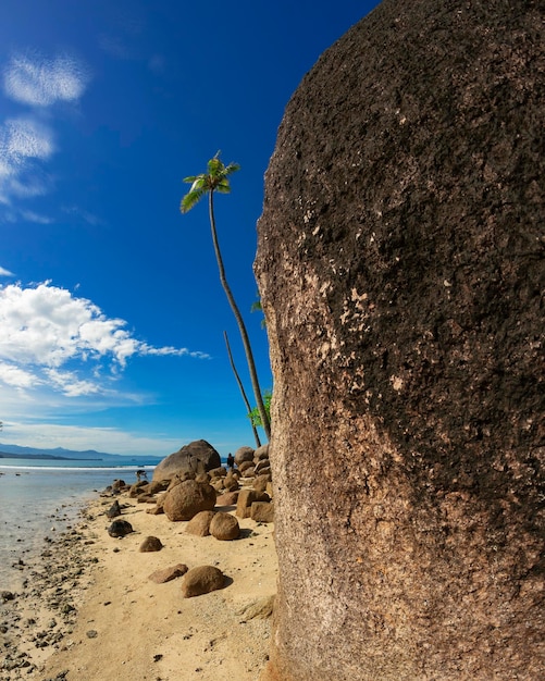 Malerischer Blick auf die tropische Insel mit Kokosnuss- oder Palmenbäumen am Strand an einem schönen blauen hellen Tag