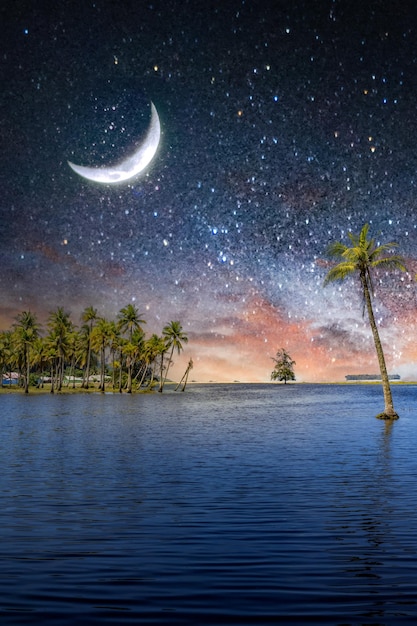 Malerischer Blick auf die tropische Insel mit Kokospalmen und schönem Nachthimmel