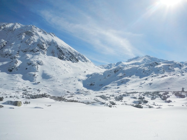 Malerischer Blick auf schneebedeckte Hänge im Retezat-Gebirge an einem sonnigen Wintertag, Rumänien