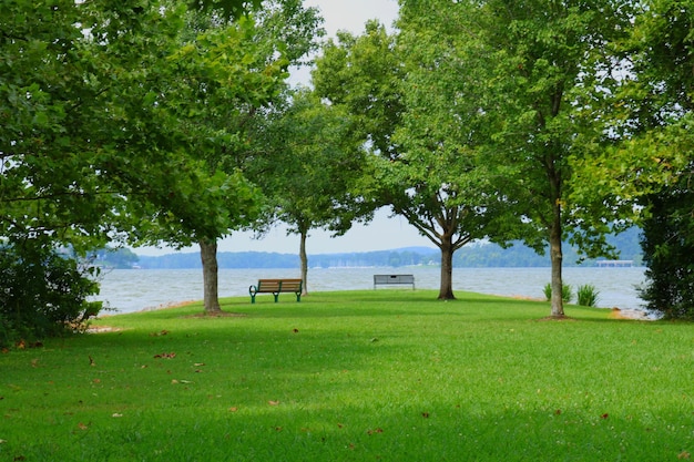 Malerischer Blick auf zwei Bänke unter Bäumen in der Nähe eines offenen Gewässers in der Nähe von Knoxville in Tennessee