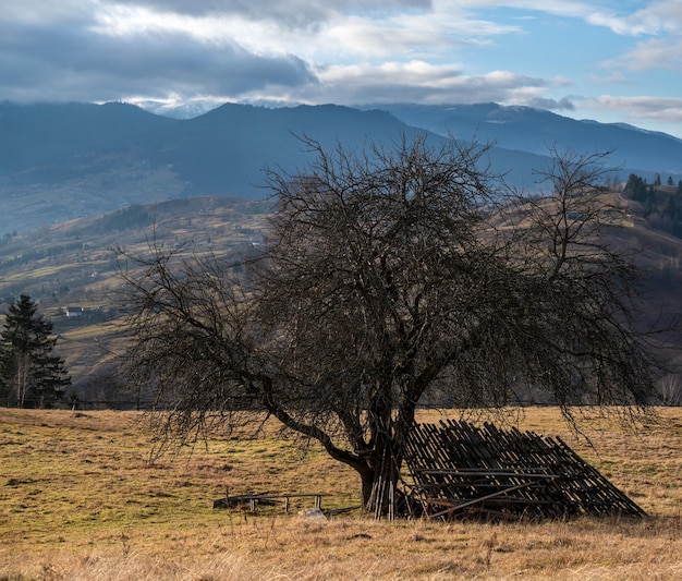 Malerischer Morgen über der spätherbstlichen Berglandschaft Karpaten der Ukraine Friedliches Reisen saisonale Natur- und Landschaftsschönheitskonzeptszene